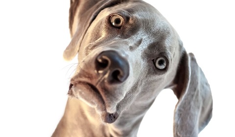 America Has A Financial Literacy Problem