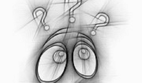 How Often Should You Check Your Credit?