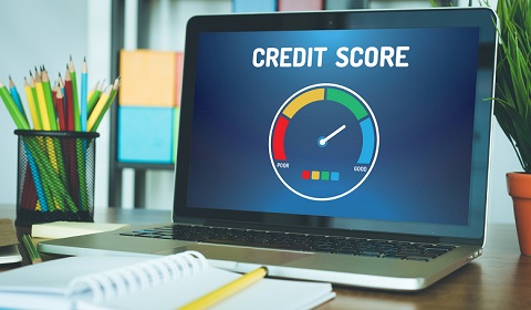 5 Steps to Improve your Credit Score